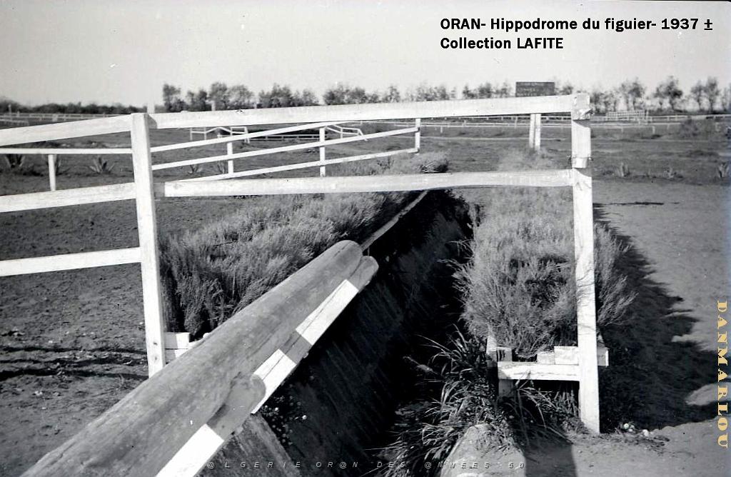 ORAN 1937 HYPPODROME DU FIGIER    (23).jpg